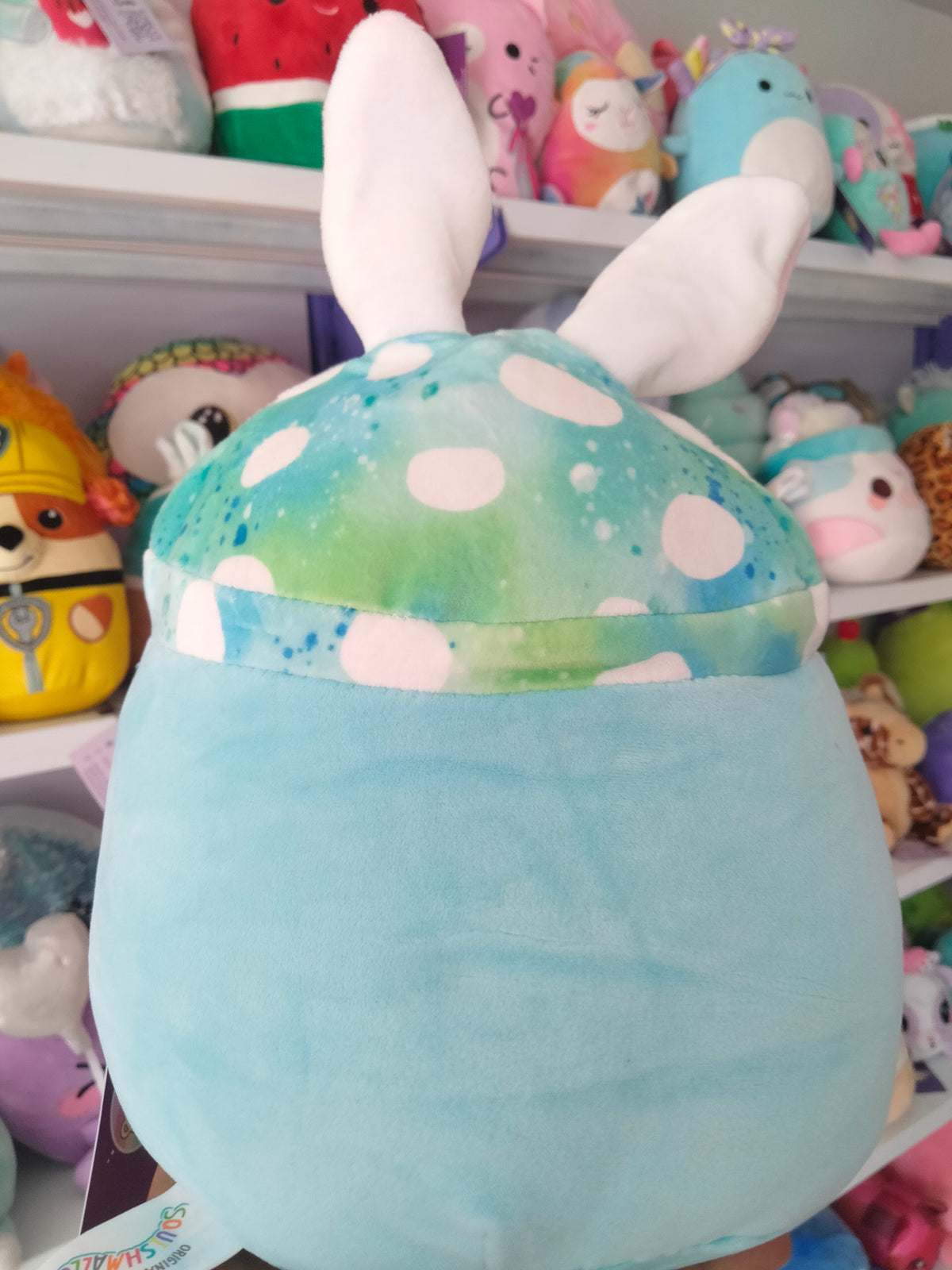 Mully the Teal Mushroom character wearing bunny ears.
