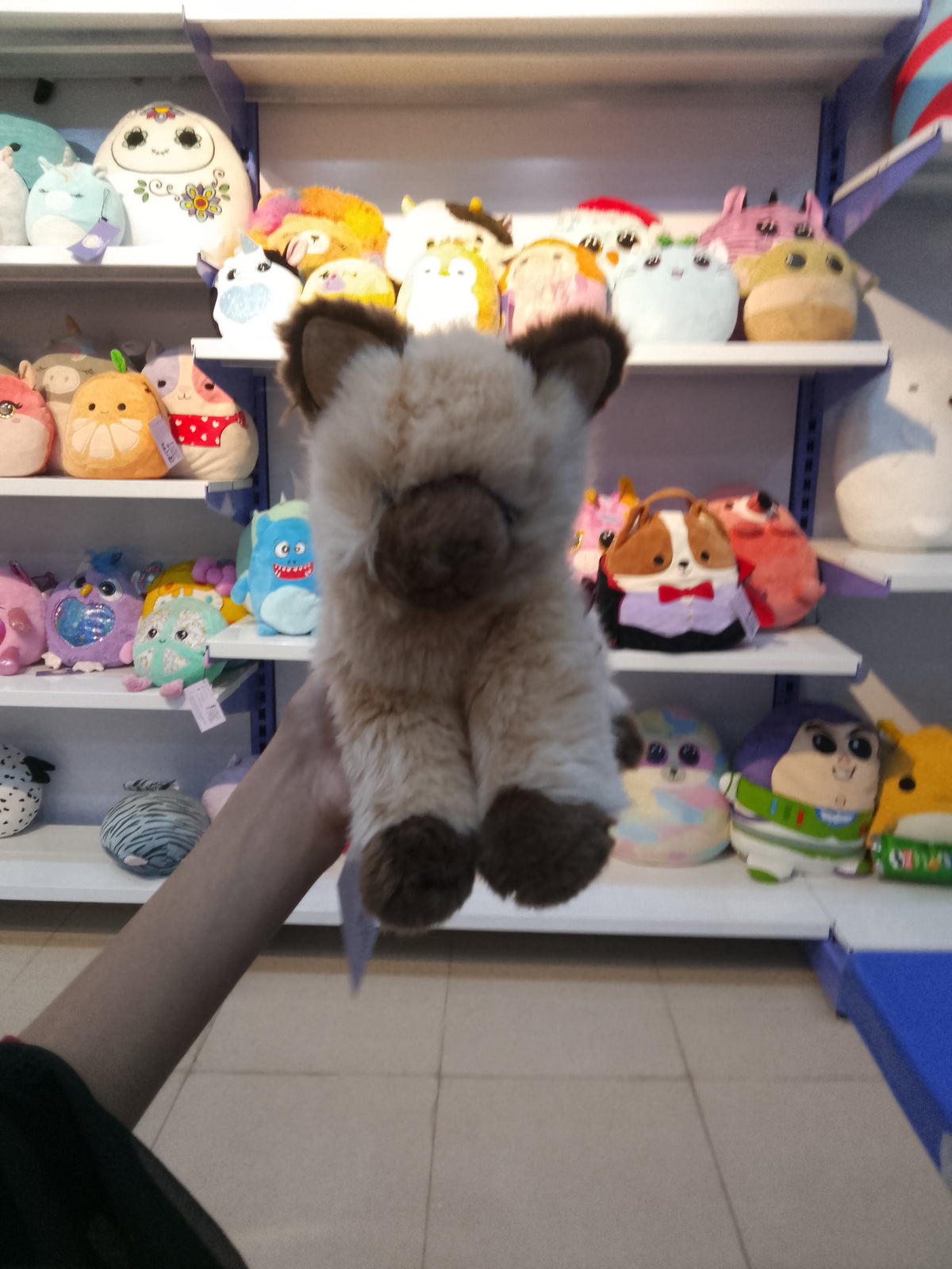Douglas Cuddle Toys