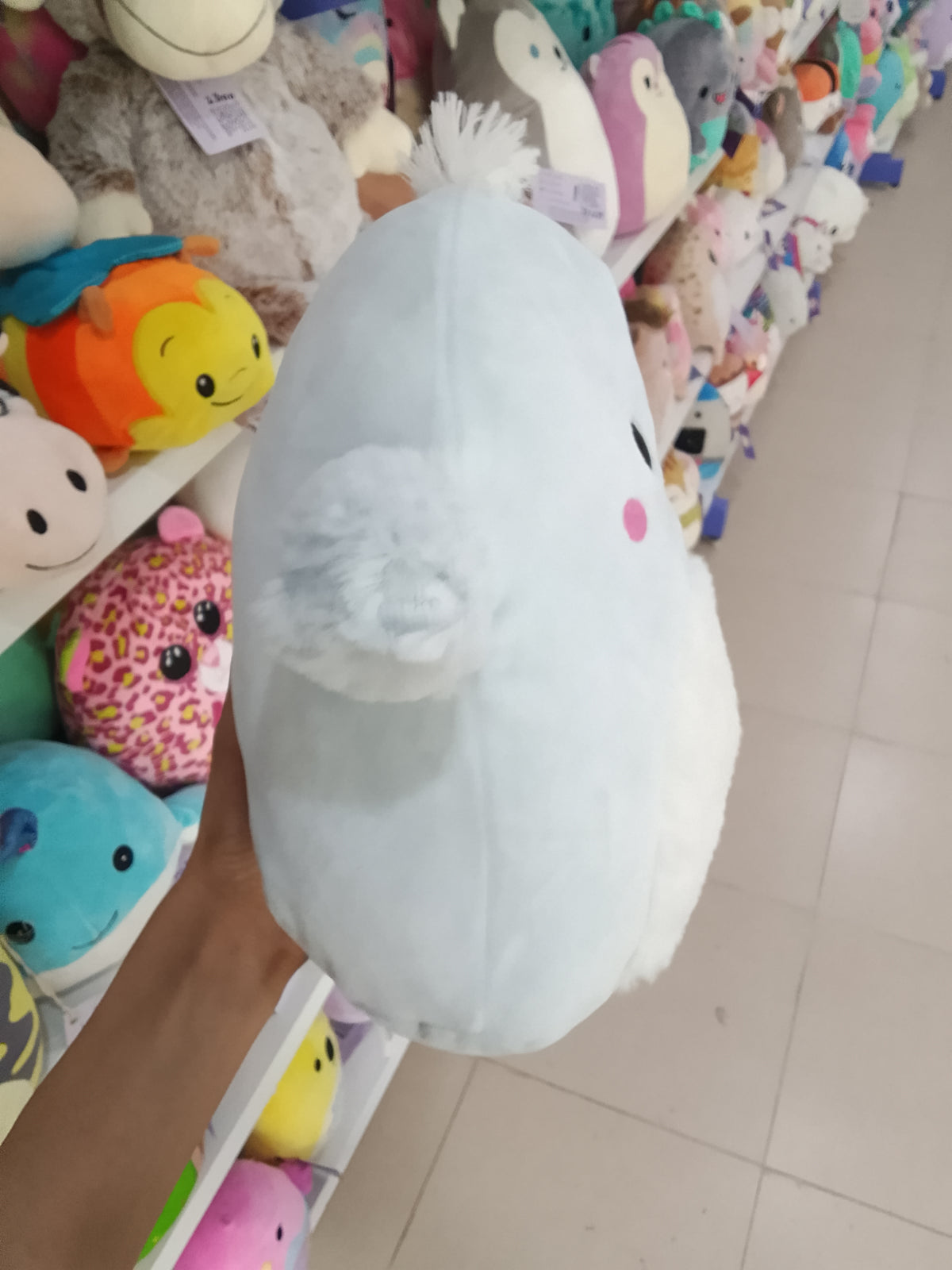 Squishmallows Camden the Blue Bird, notable for its sky blue color, fuzzy white belly, and white crest on top