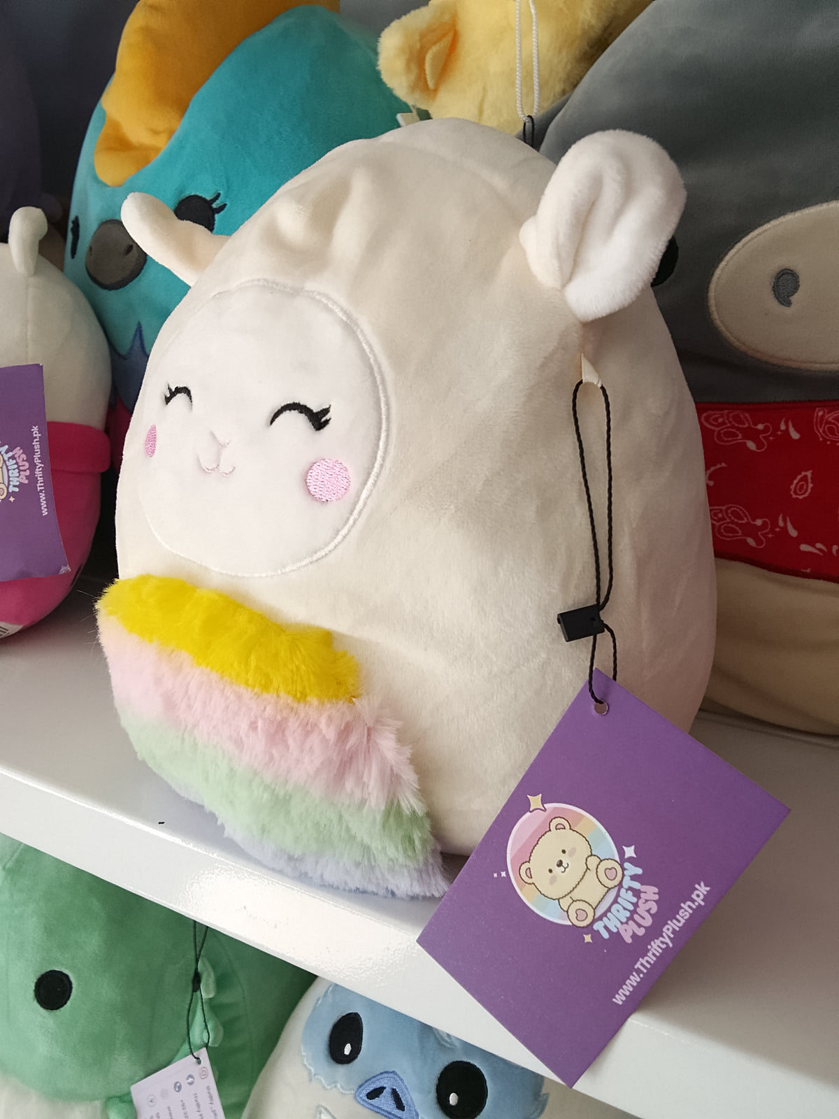 Squishmallows character Sophie the Lamb, rainbow-colored belly plush toy.
