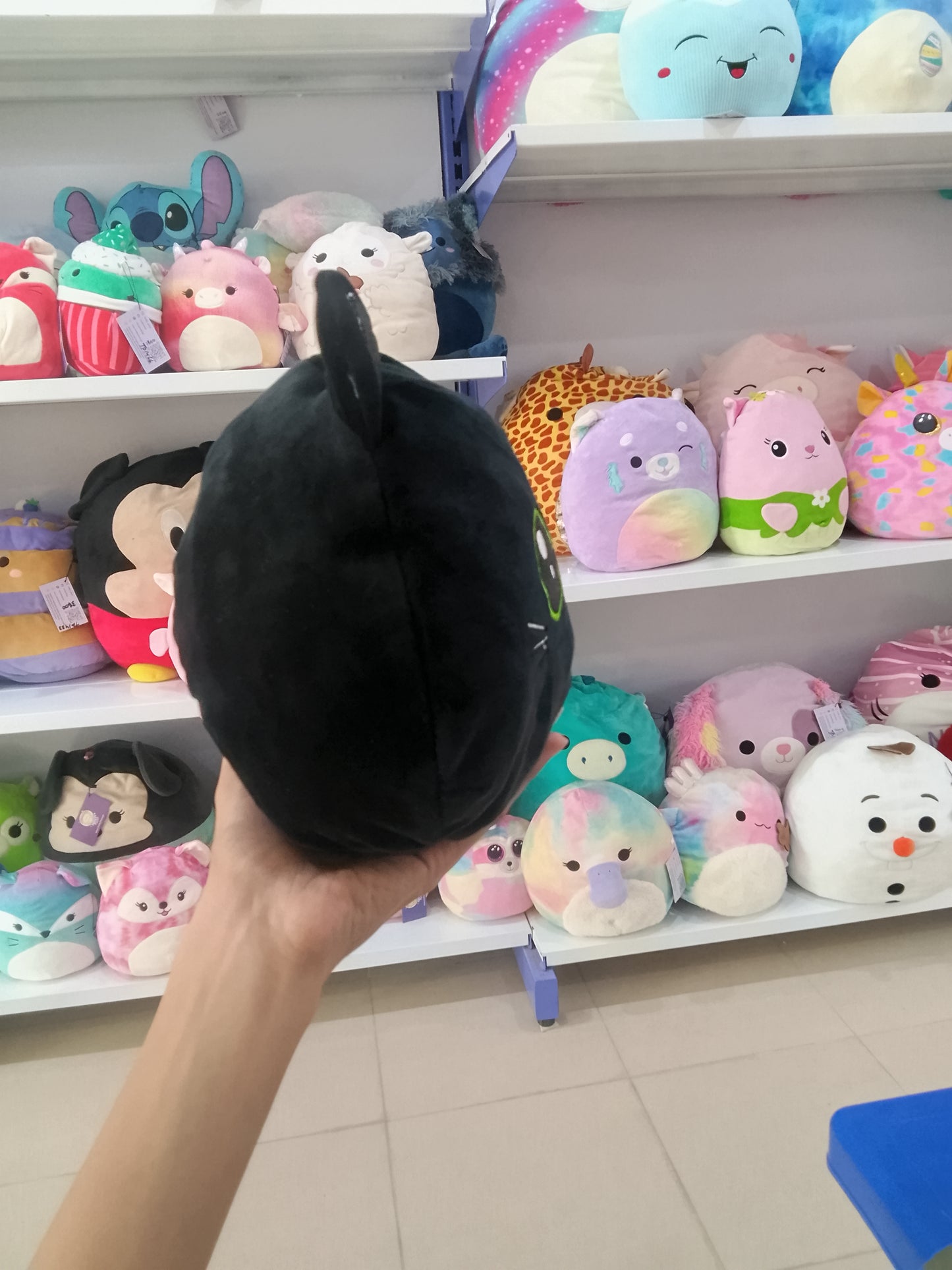 Squishmallow kawai Plush Tos.