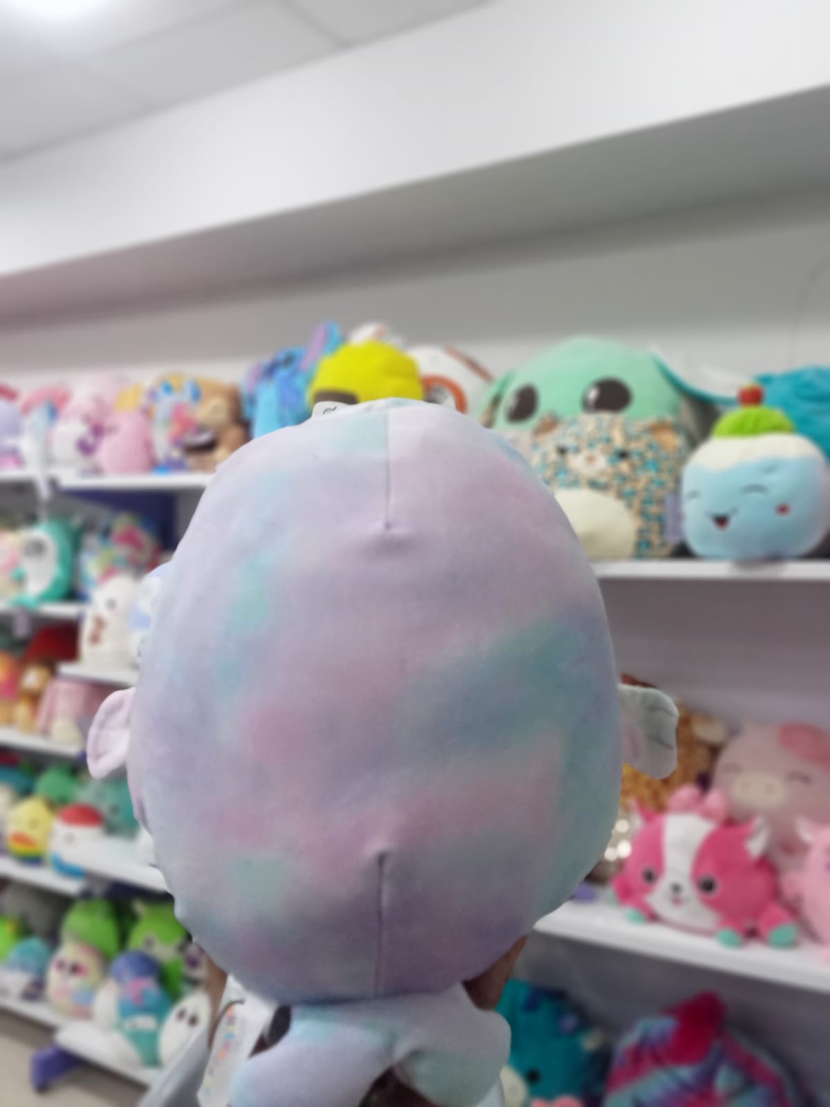 Tie Dyed Seal Squishmallow plush toy.
