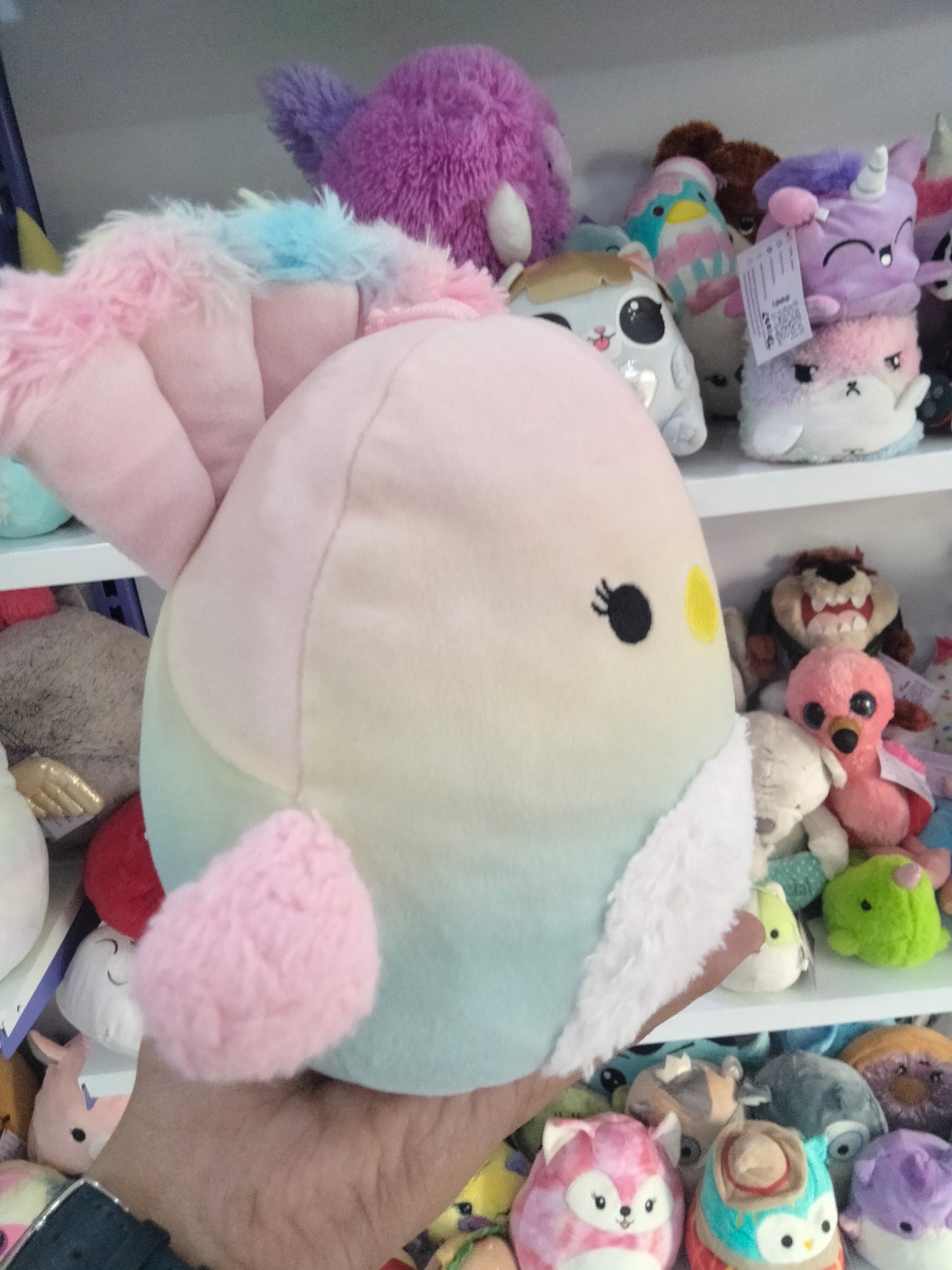 Briannika the Peacock plush toy.