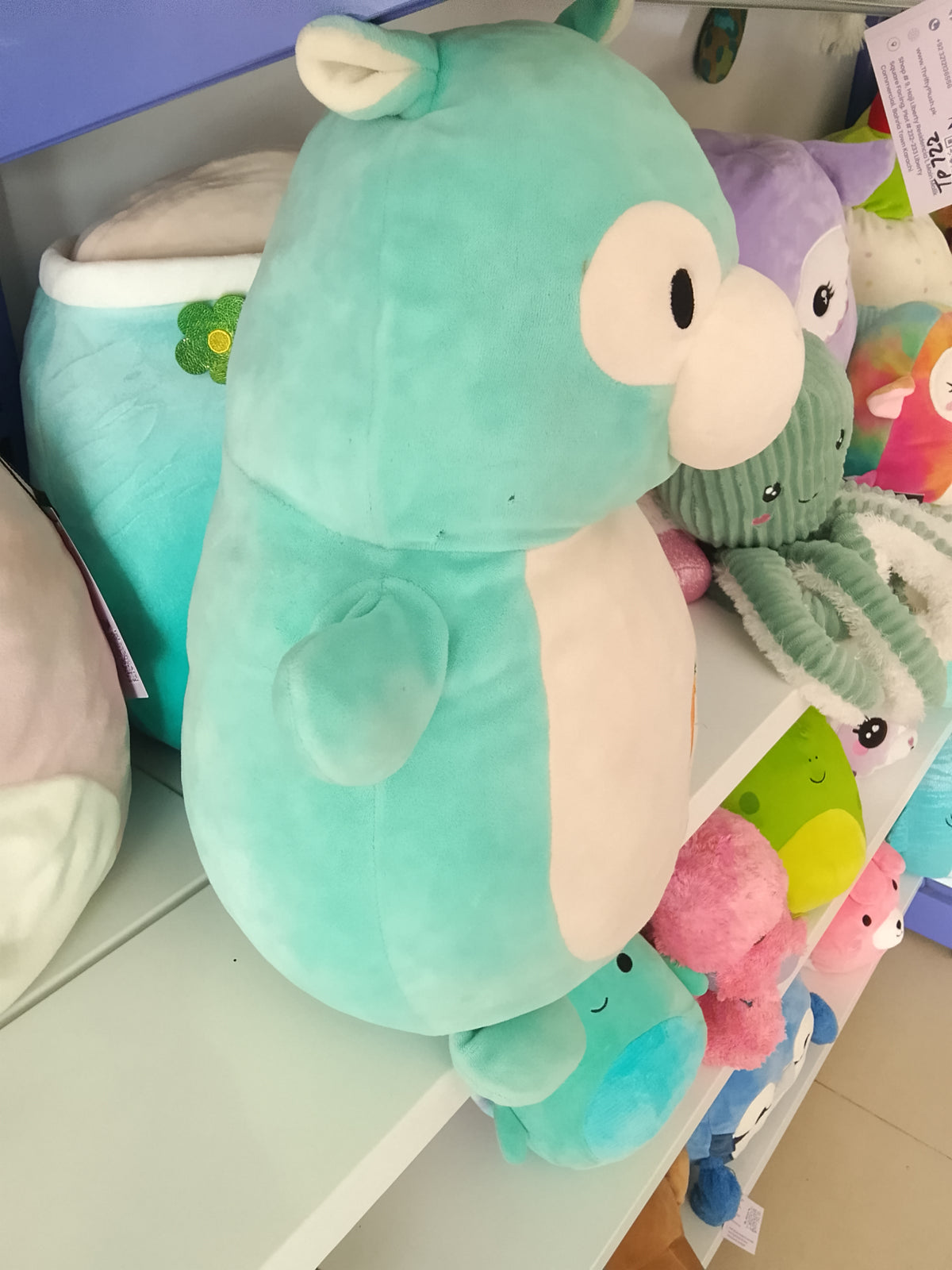 Squishmallow Hug Mees "Pierre" Alpaca plush in mint green.