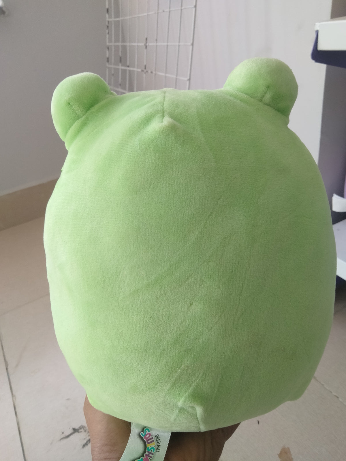 Squishmallows Wendy the Frog plush toy.