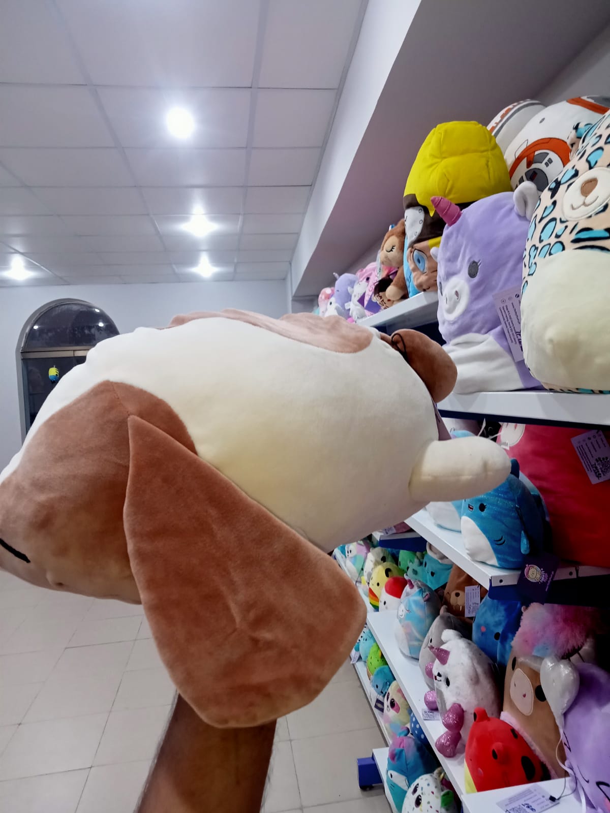 Squishmallows brand,Tyree the Beagle from the Kellytoy line.