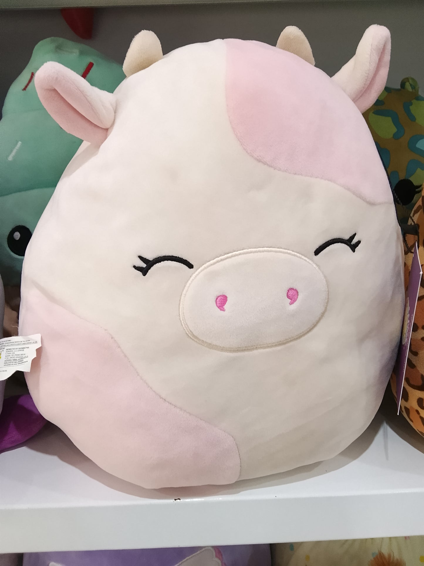 Squishmallows Caedyn the Cow plush toy.