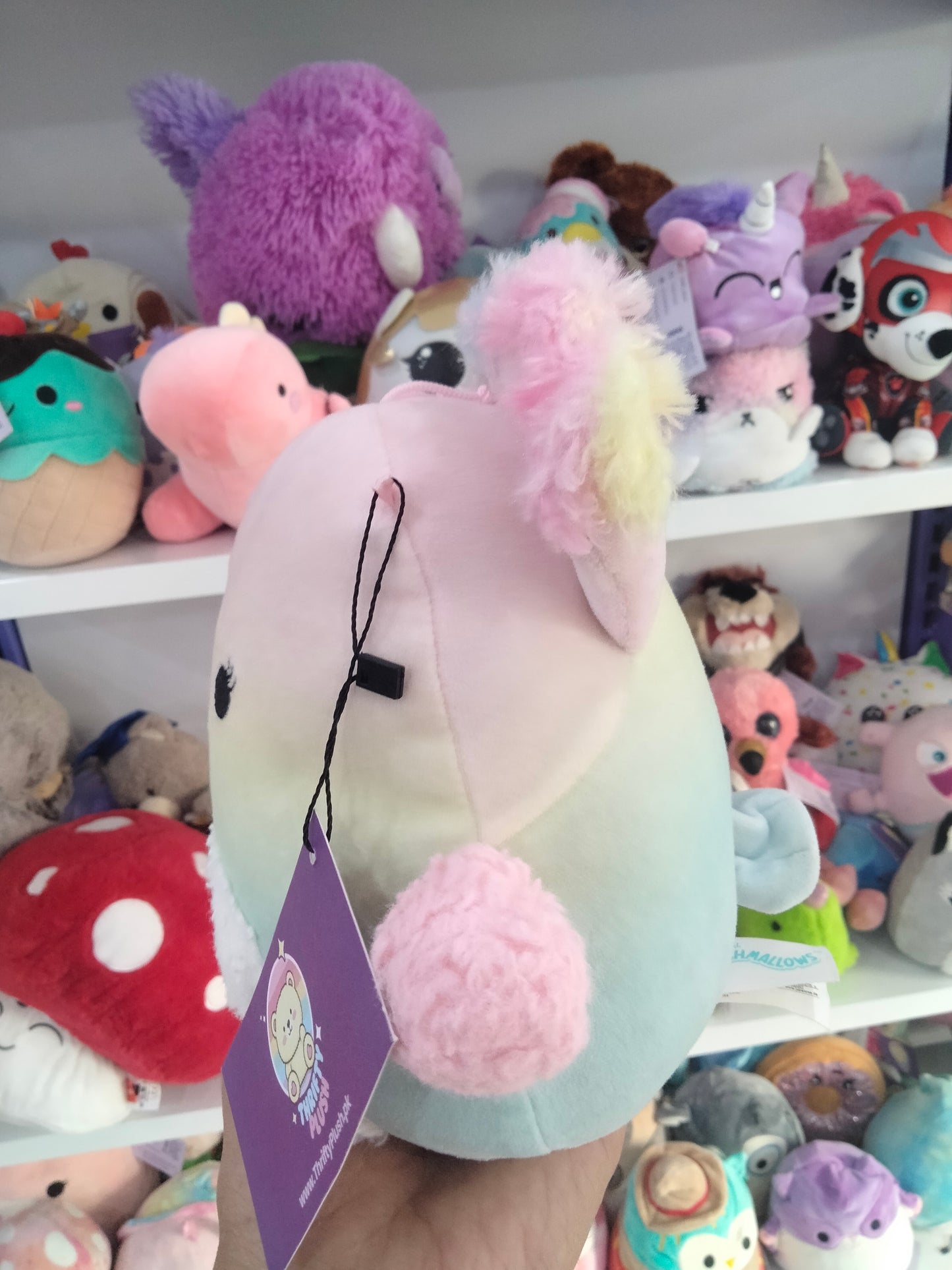Briannika the Peacock plush toy.