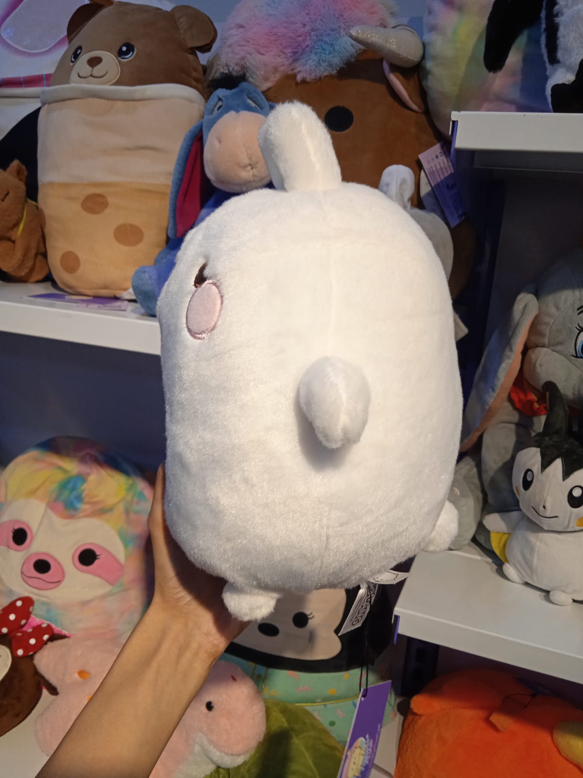 Molang the Bunny Plush Toy.
