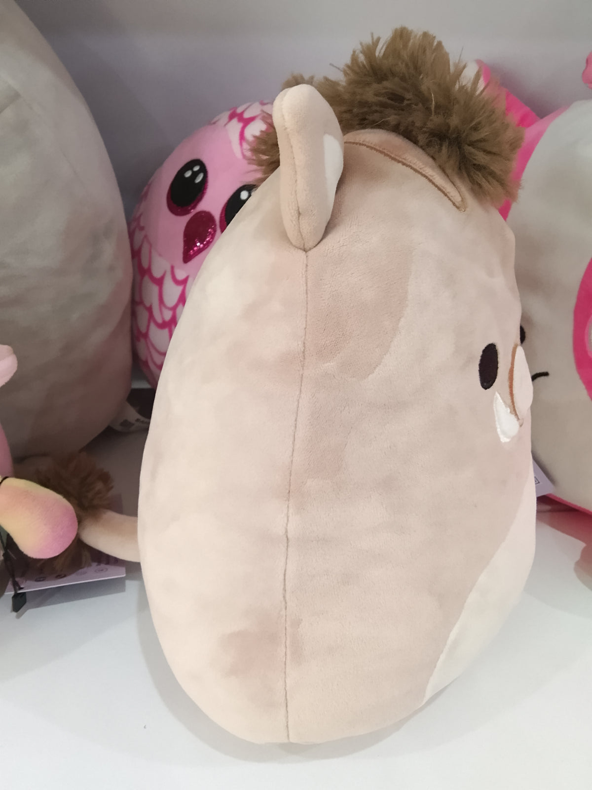 Squishmallows Warren the Boar plush in a light brown color with a beige belly and snout.