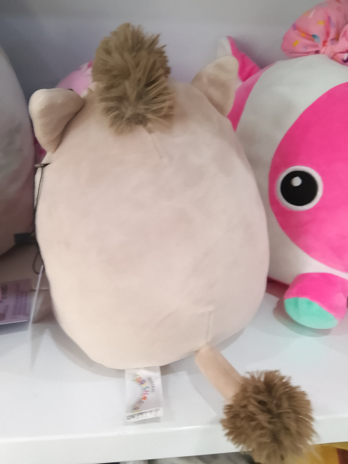 Squishmallows Warren the Boar plush in a light brown color with a beige belly and snout.
