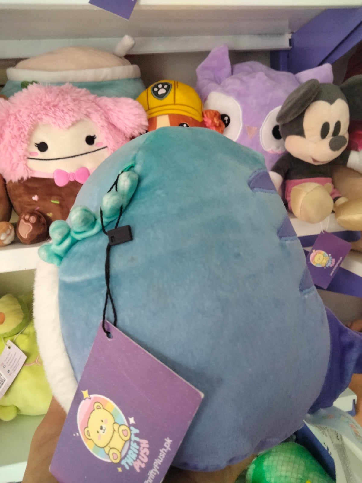 Squishmallows plush toy, specifically the character Cella the Teal Bearded Dragon.