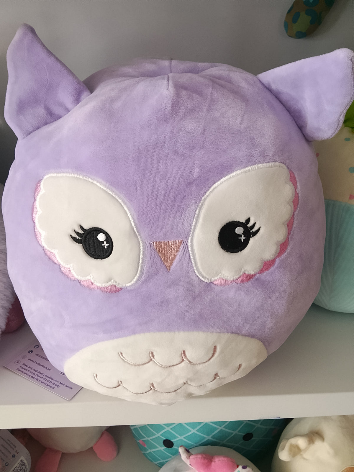 Squishmallows plush toy featuring Miranda the Purple Owl