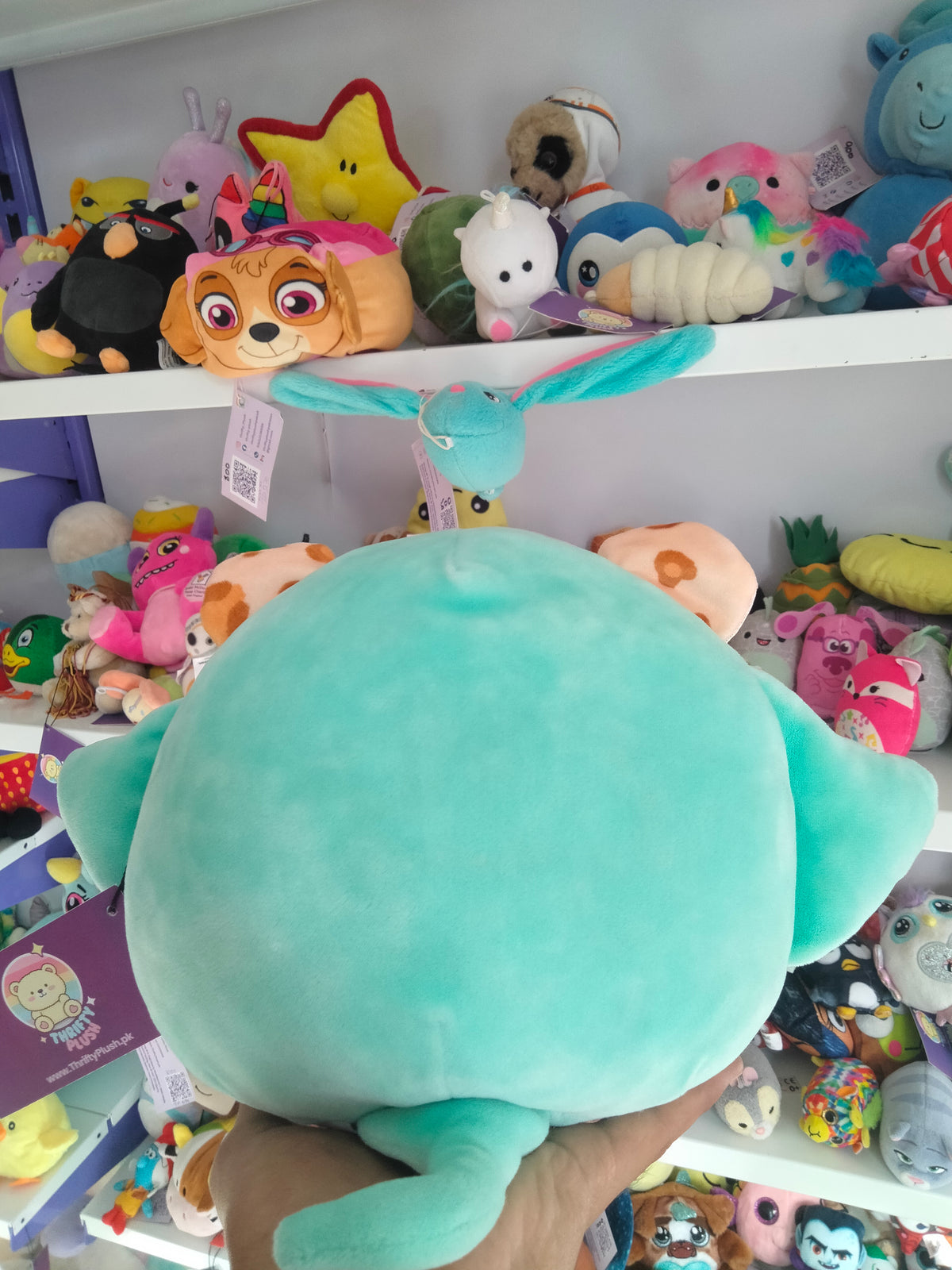 Squishmallows Lexie the Cheetah plush toy dressed in a stingray costume.