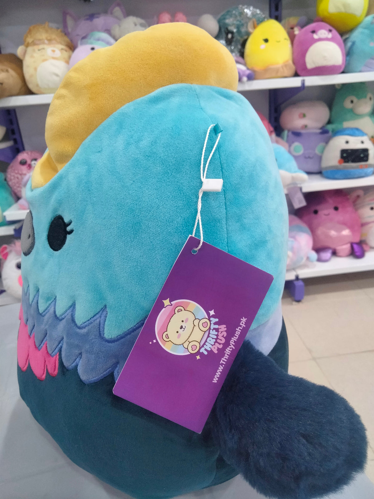 Melrose The Cassowary Squishmallow Plush toy.