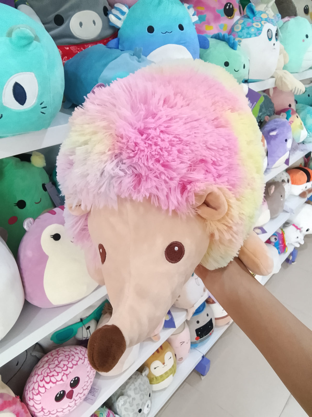 Aurora Squishiverse Squishy Hugs Hedgie 9 inch plush toy.