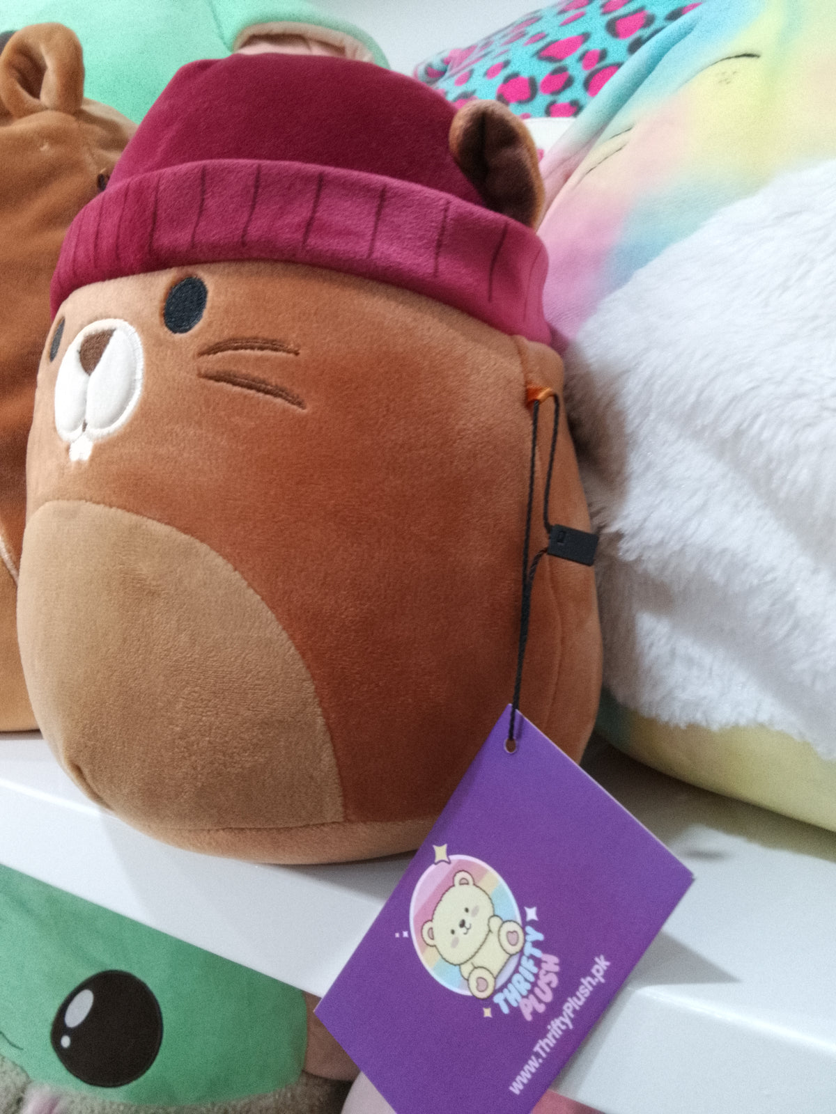 Squishmallows Chip the Beaver plush toy.