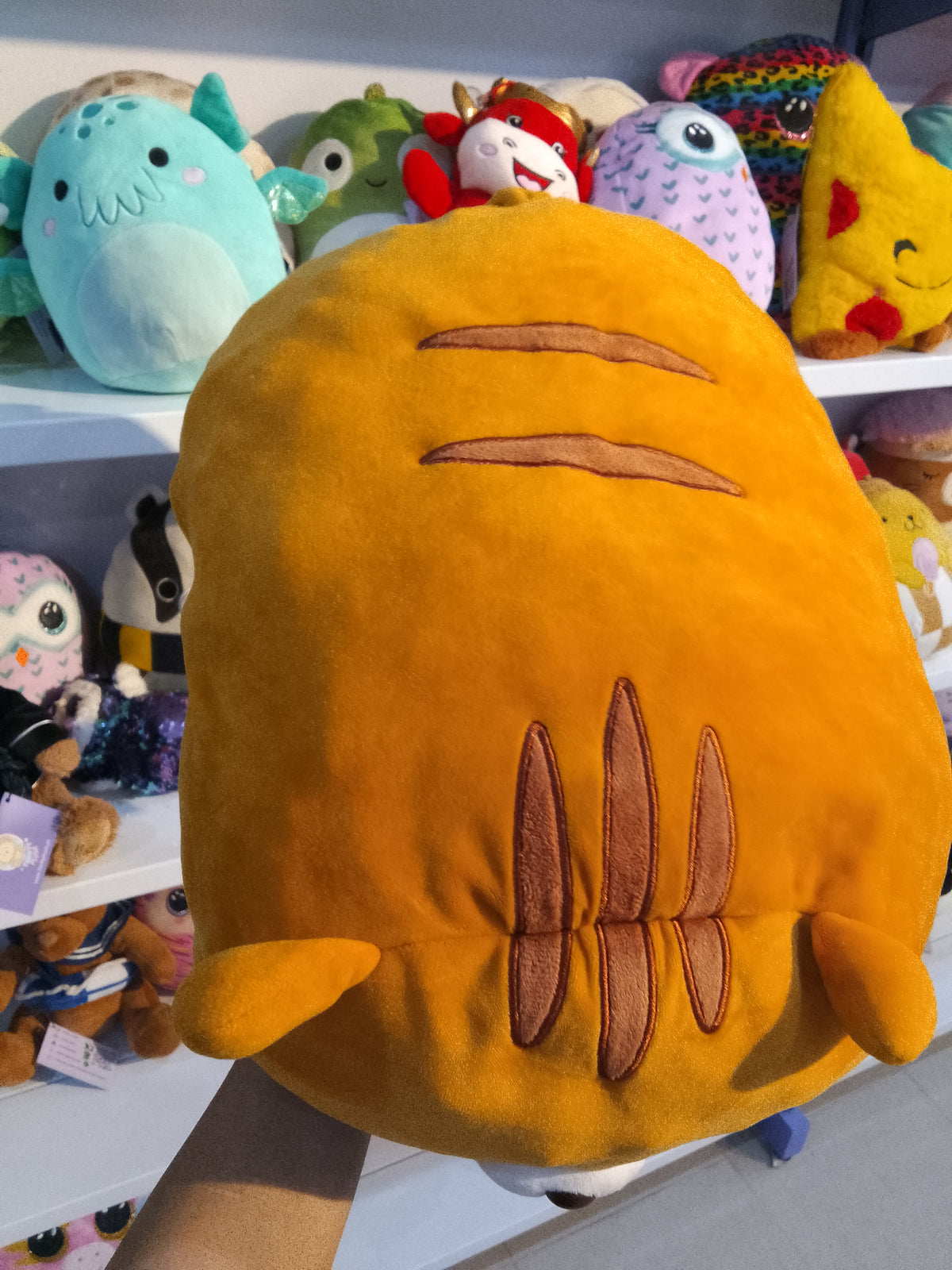 Toramachi-kun