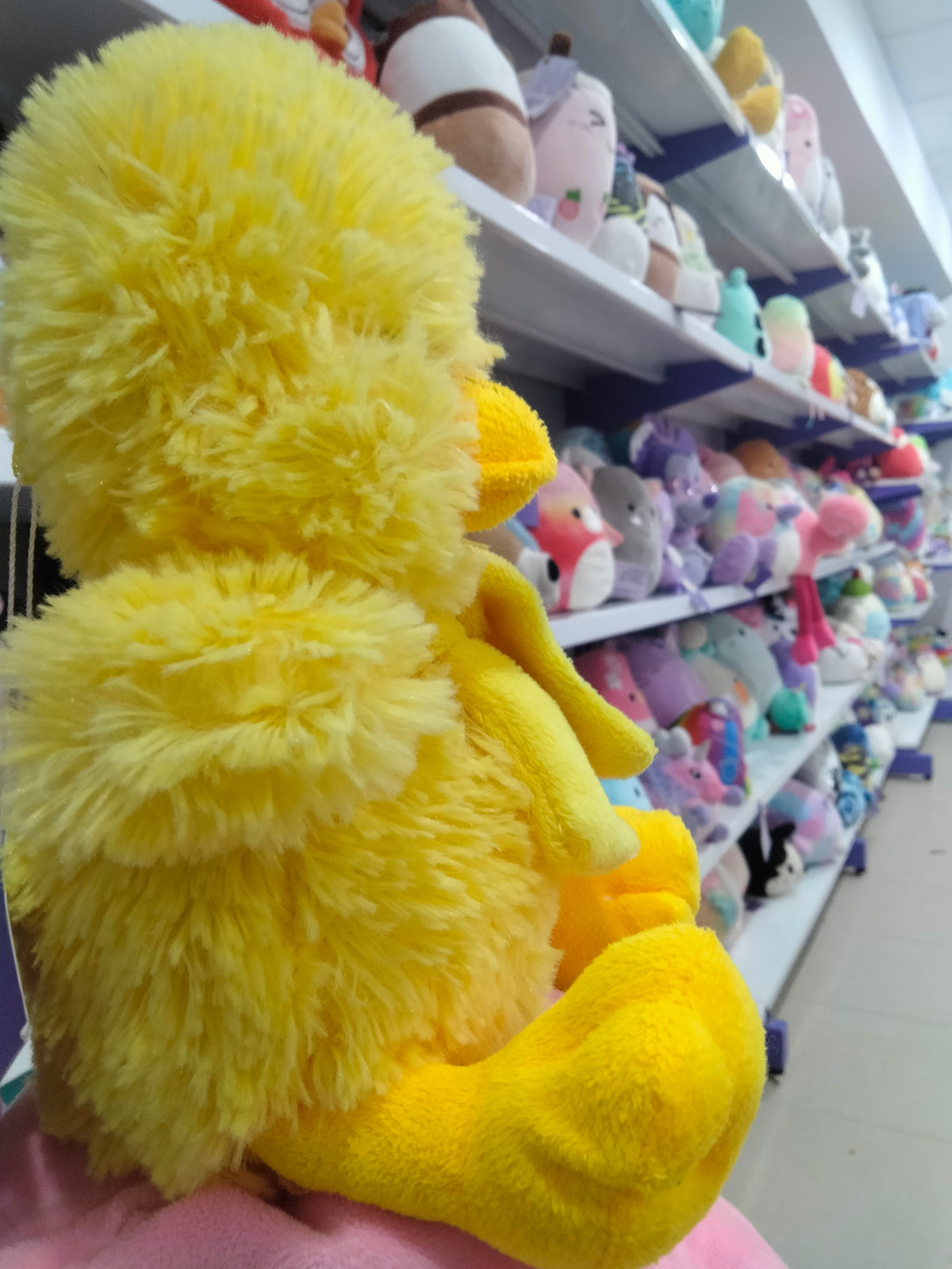 Plush Yellow Duck Soft Toy