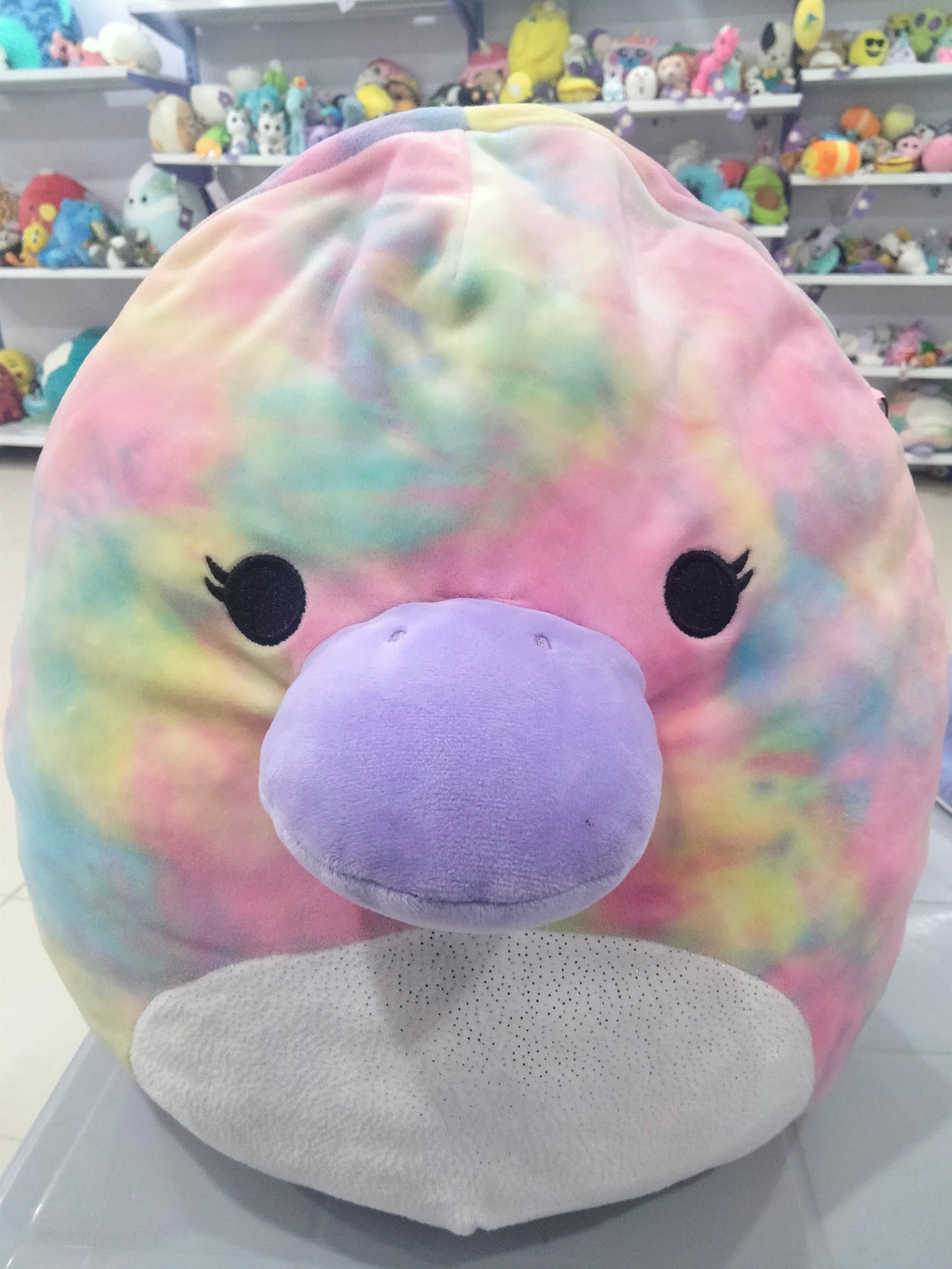 Squishmallows plush toy, specifically Brindall the Platypus.