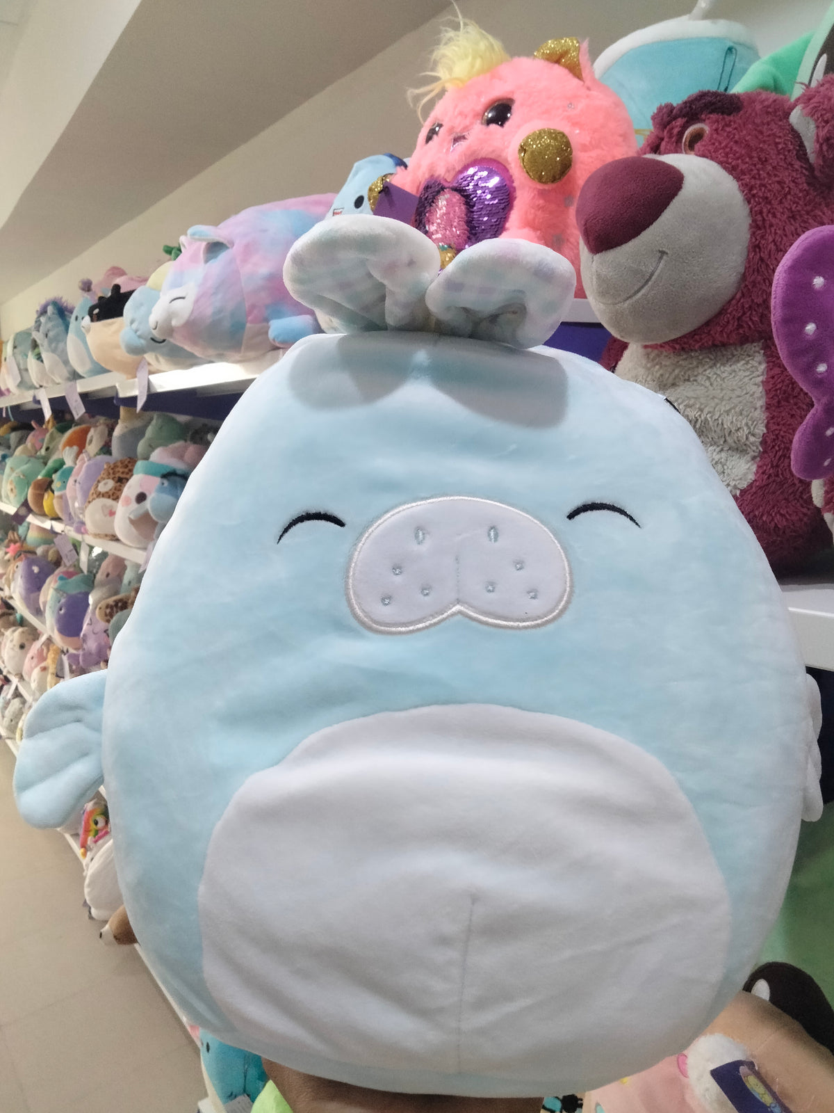Squishmallows 8-inch plush toy of Abel the Manatee