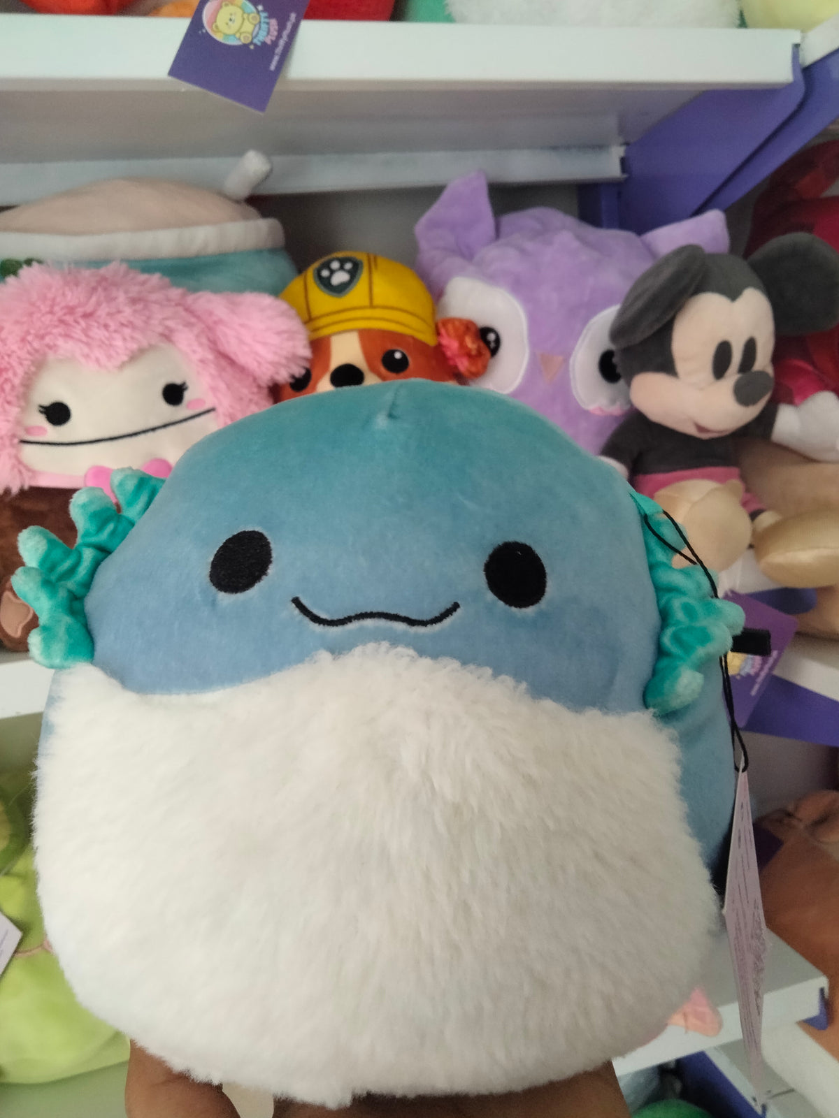Squishmallows plush toy, specifically the character Cella the Teal Bearded Dragon.