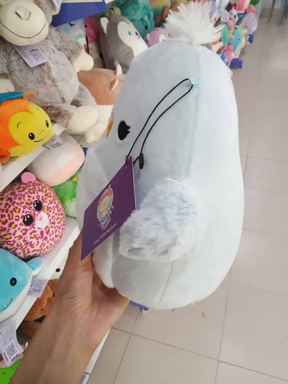 Squishmallows Camden the Blue Bird, notable for its sky blue color, fuzzy white belly, and white crest on top