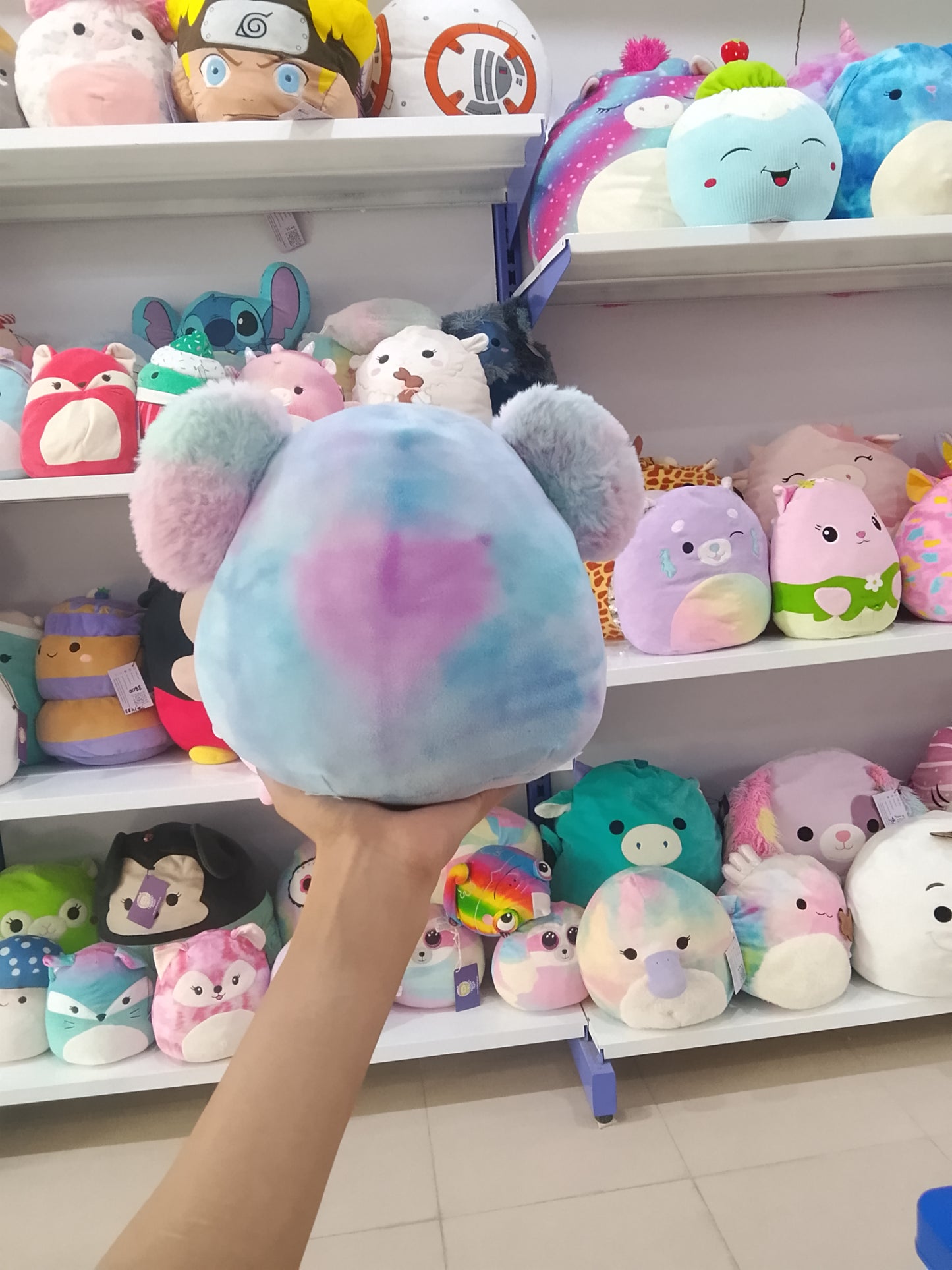Squishmallows Lavender Koala Plush toy.