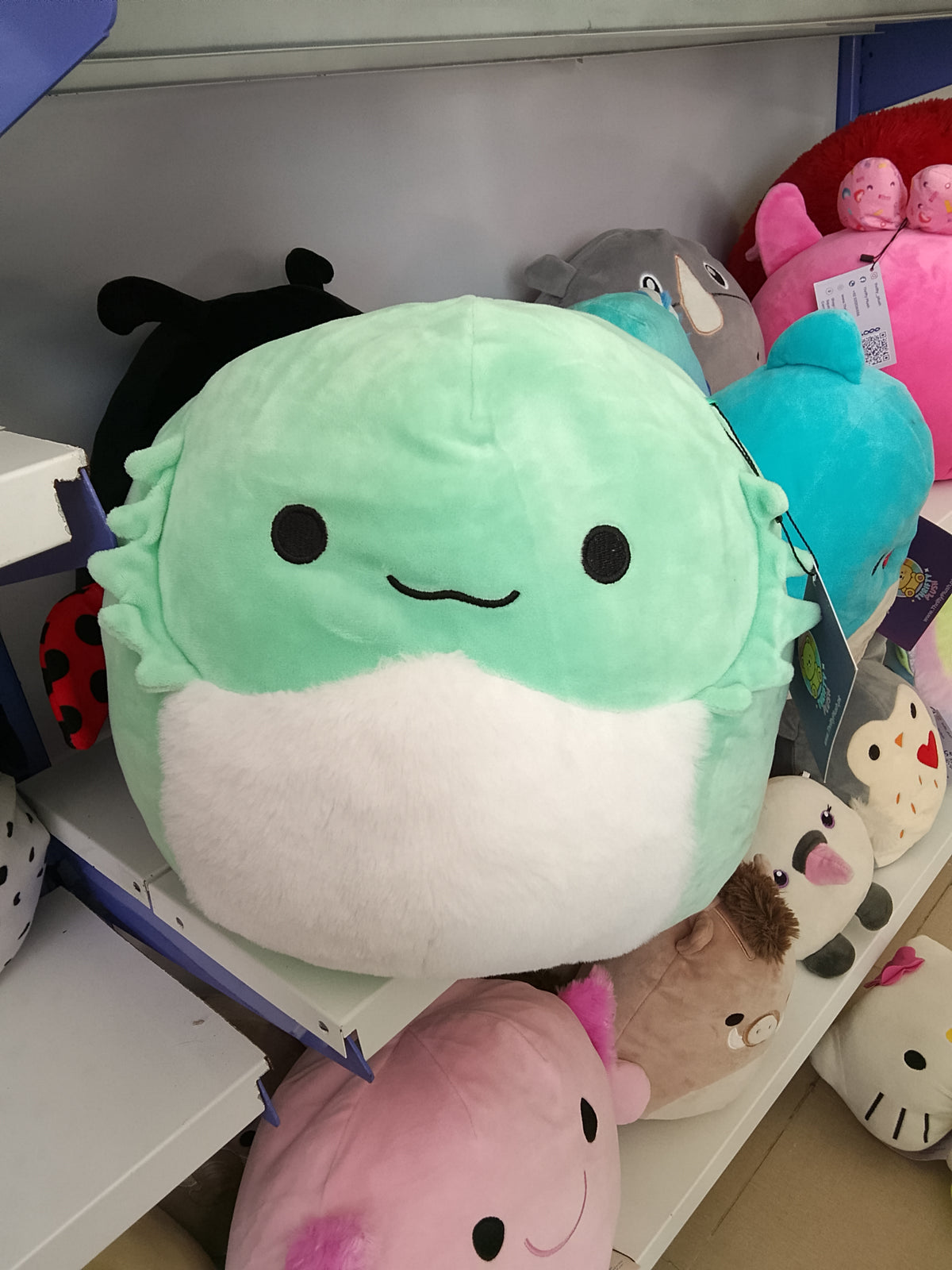 Squishmallows Abe the Bearded Dragon plush toy.