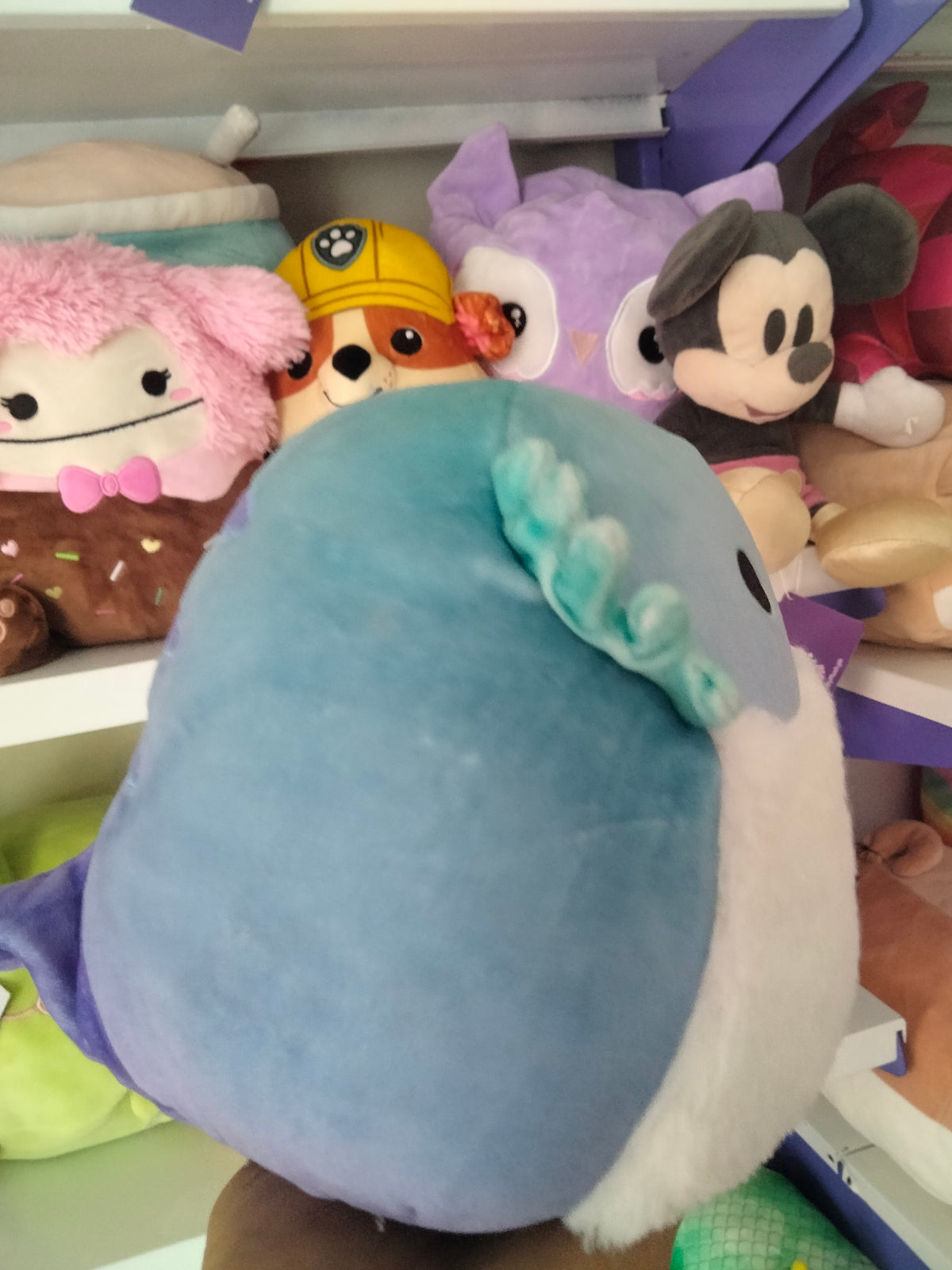 Squishmallows plush toy, specifically the character Cella the Teal Bearded Dragon.