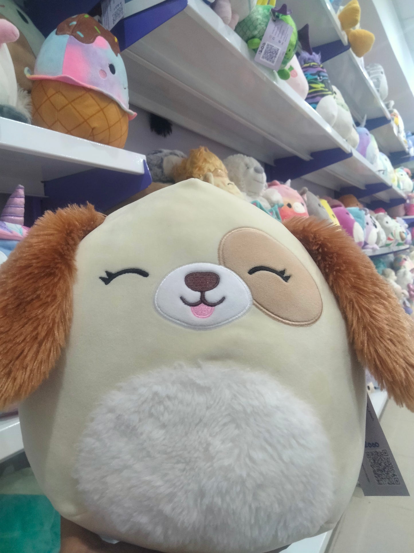 Squishmallows plush toy featuring Harris the Dog