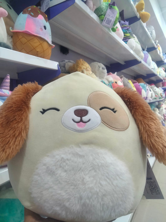 Squishmallows plush toy featuring Harris the Dog