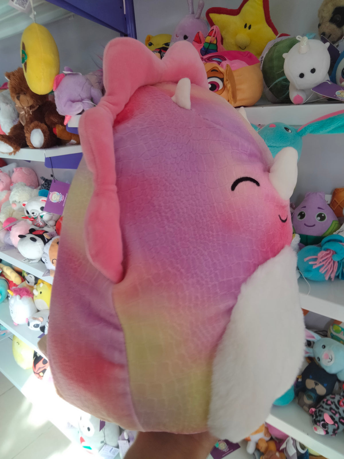 Squishmallows Trinity the Triceratops plush toy.