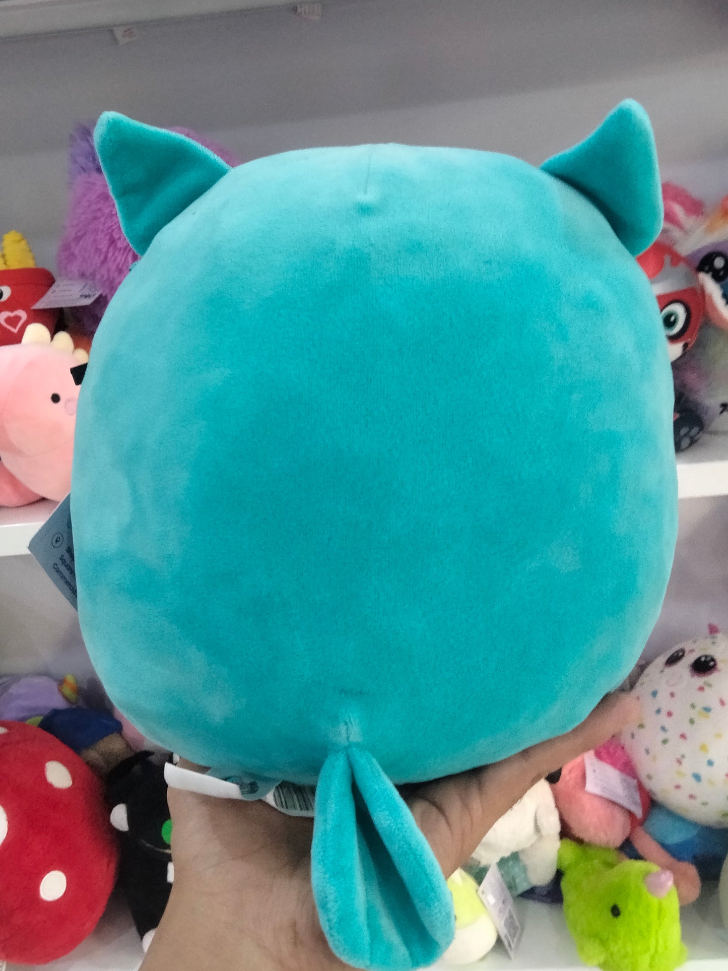 Kellytoy Squishmallows Winston the Teal Owl plush toy.