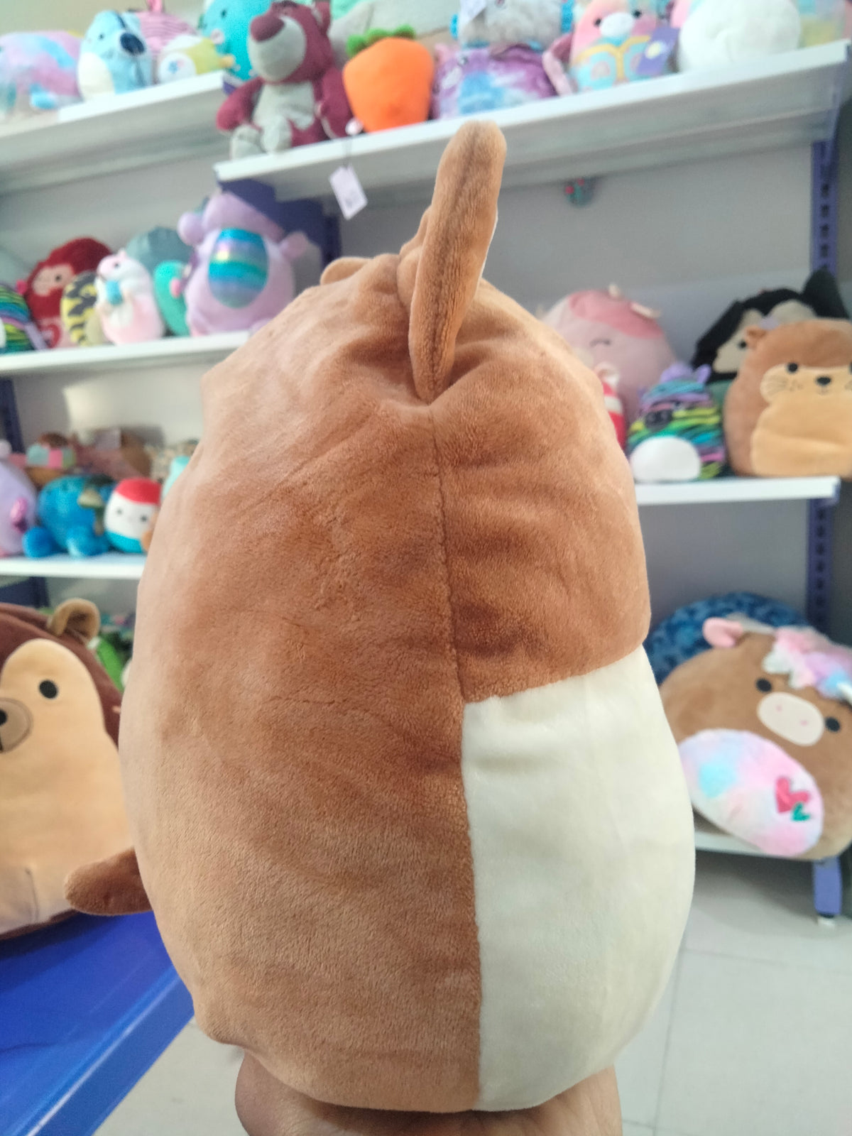 This is a Kellytoy Squishmallows Reginald the Corgi plush toy in a 12-inch size.