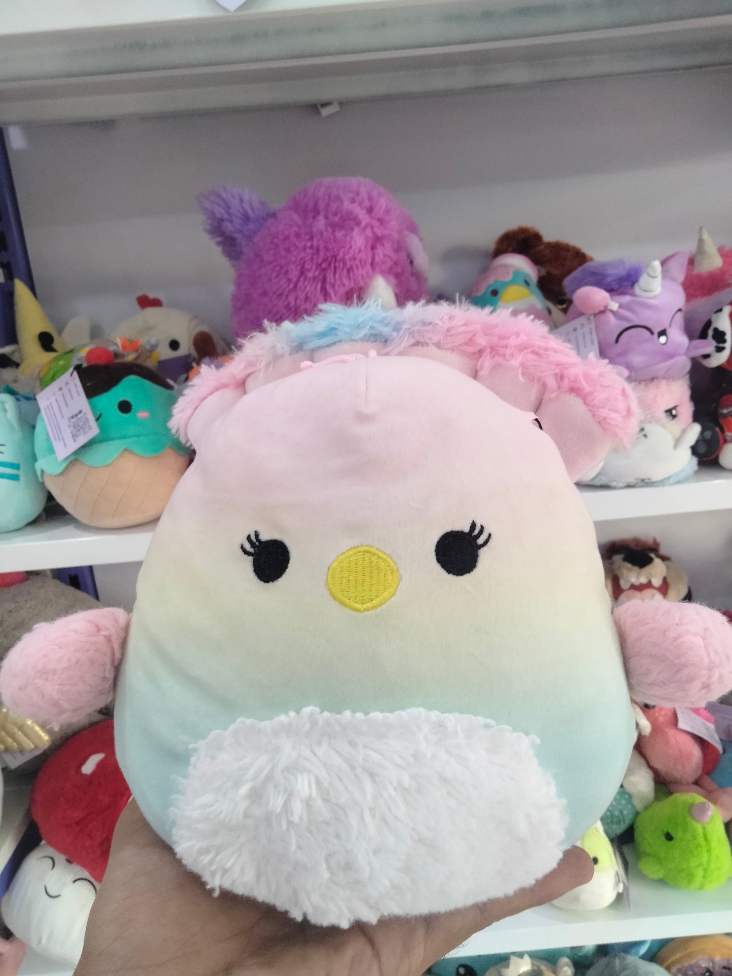 Briannika the Peacock plush toy.