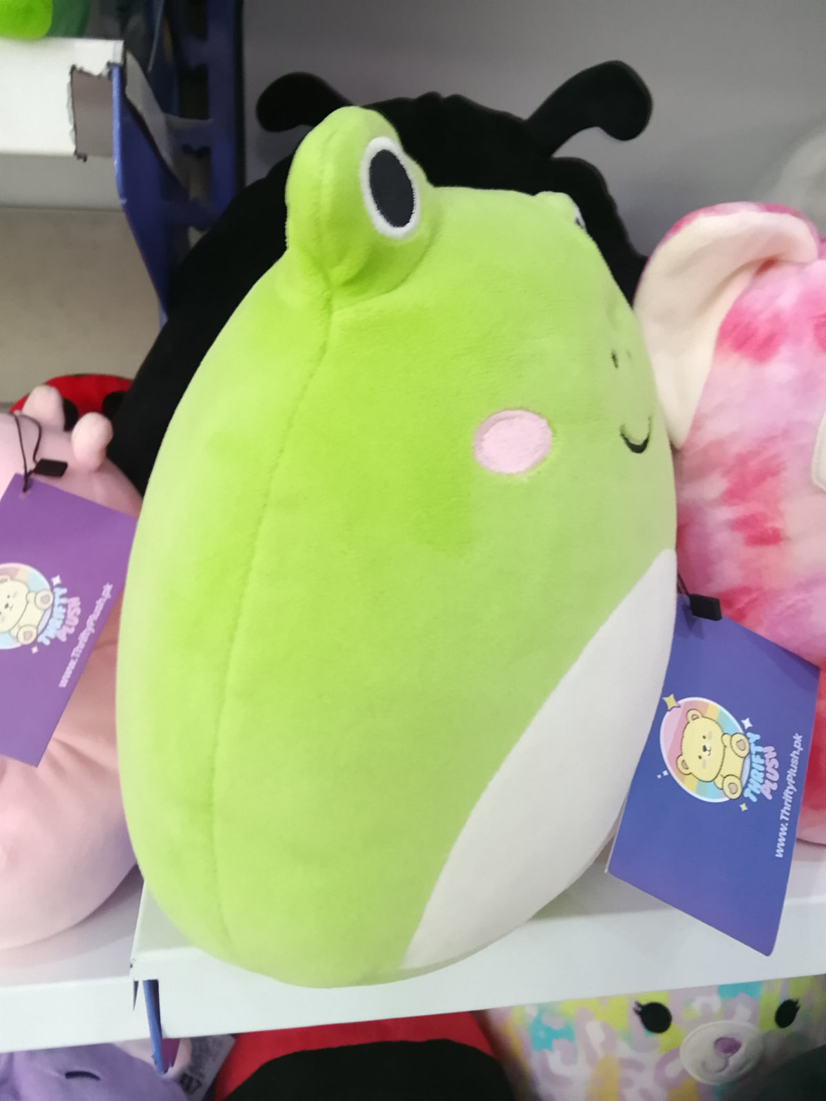 Squishmallows Wendy the Frog plush toy.