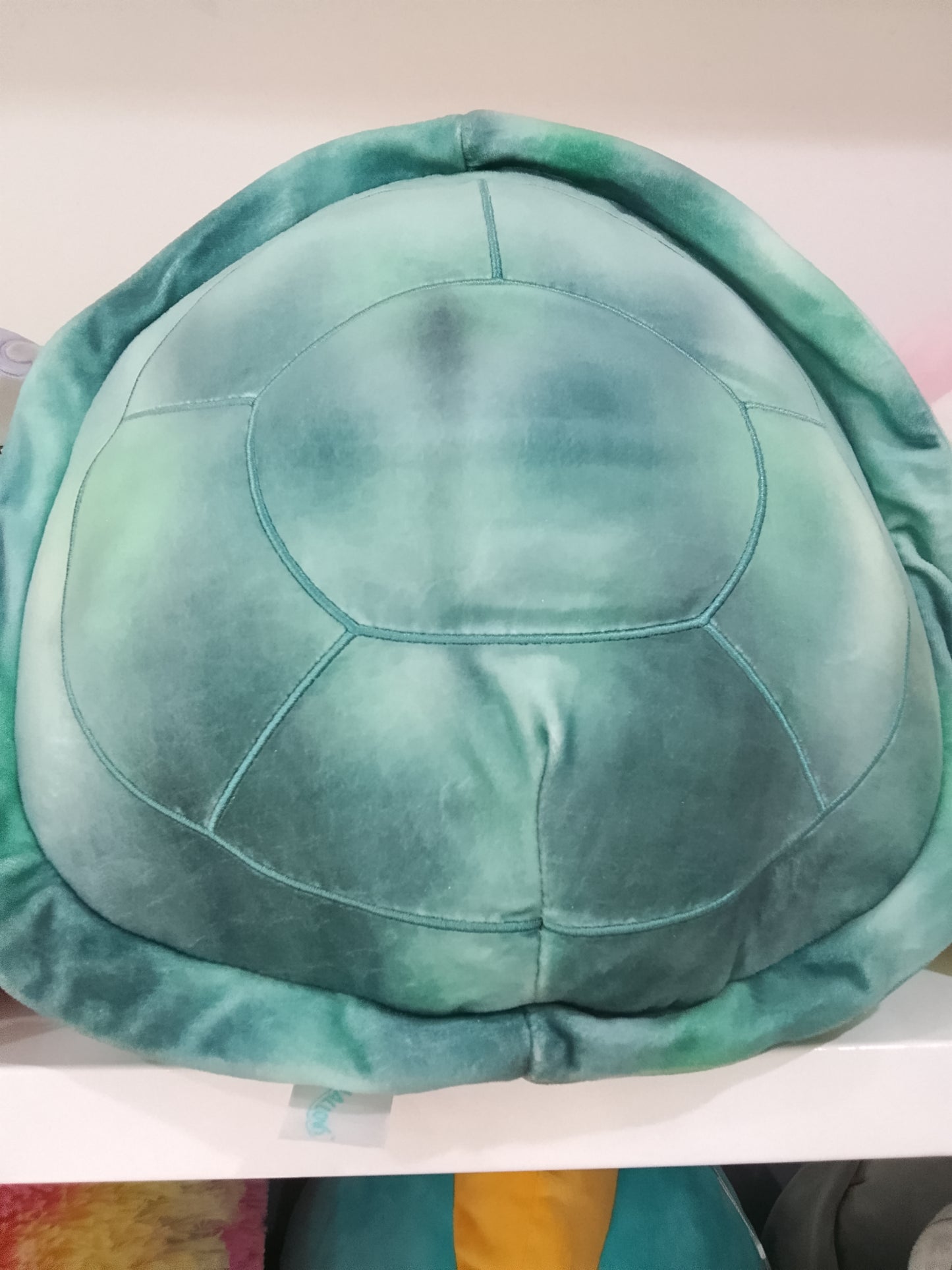 Squishmallows Onica the Turtle plush toy.