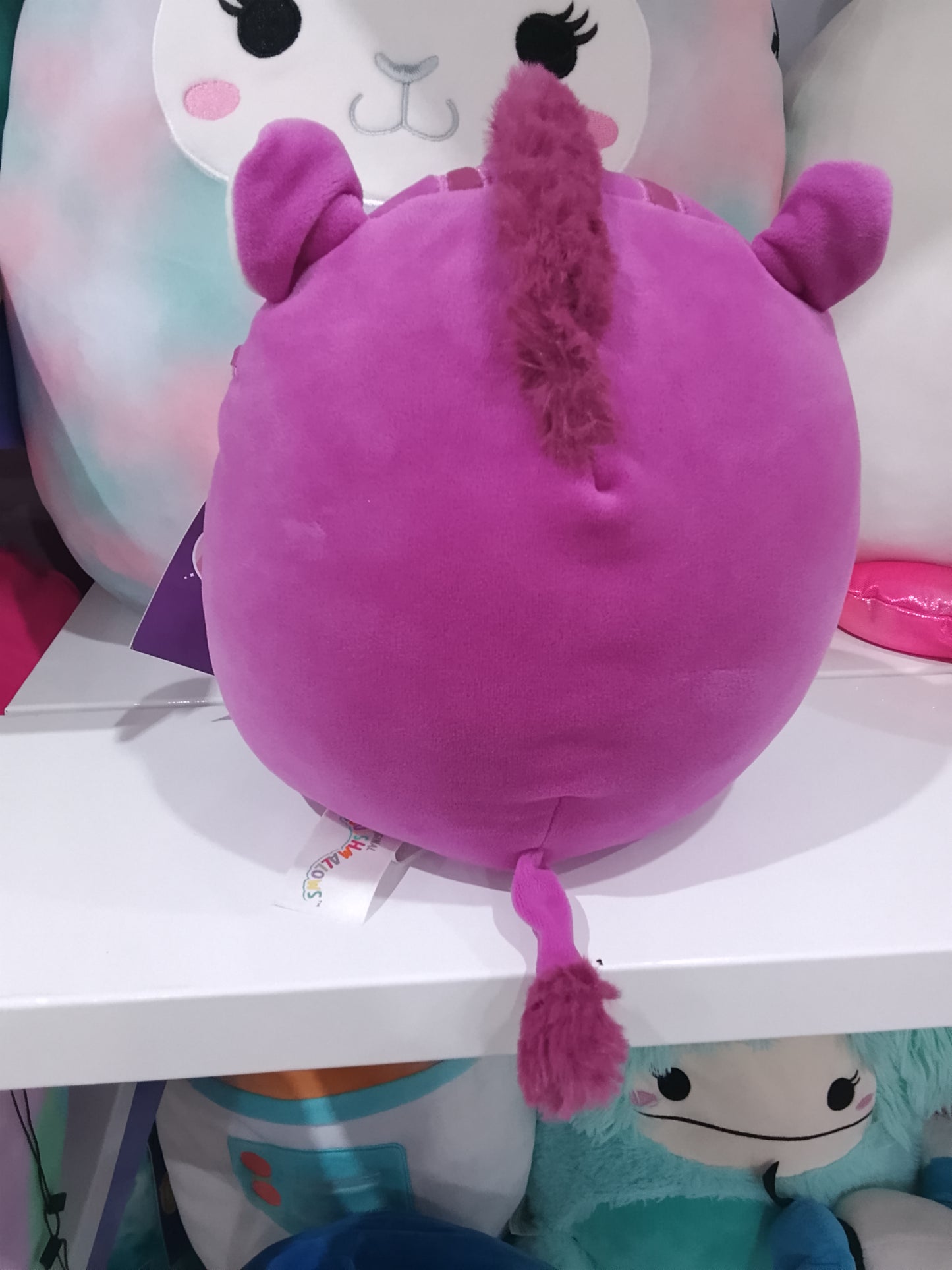 Squishmallows Jenna the Purple Boar plush toy.