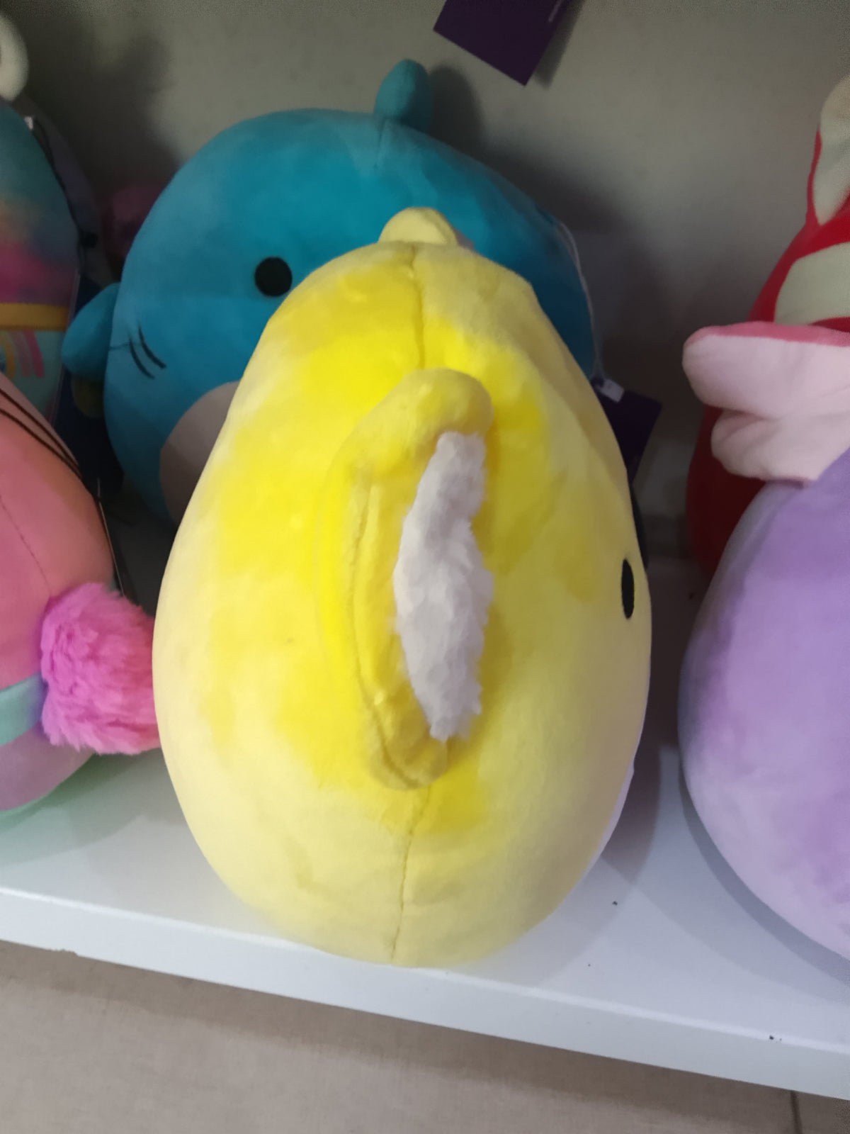 Squishmallows Donny the Koala from the Celebration Squad,yellow plush material and "Happy Birthday" text on the belly.