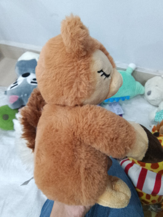 Kellytoy or Walgreens brand "Nuts About You" plush squirrel toy, often released for Valentine's Day