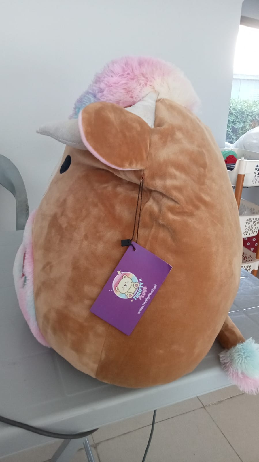 Candela the Highland Cow