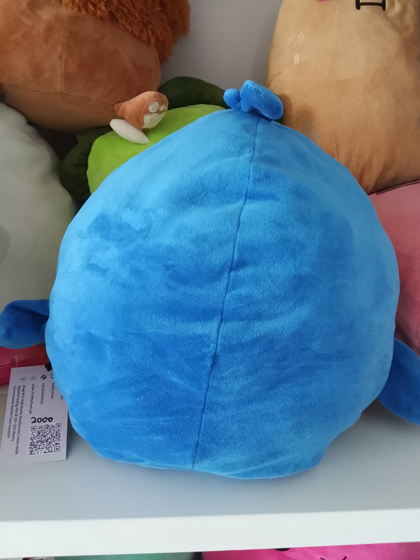 Squishmallows Babs the Blue Jay stuffed plush toy.