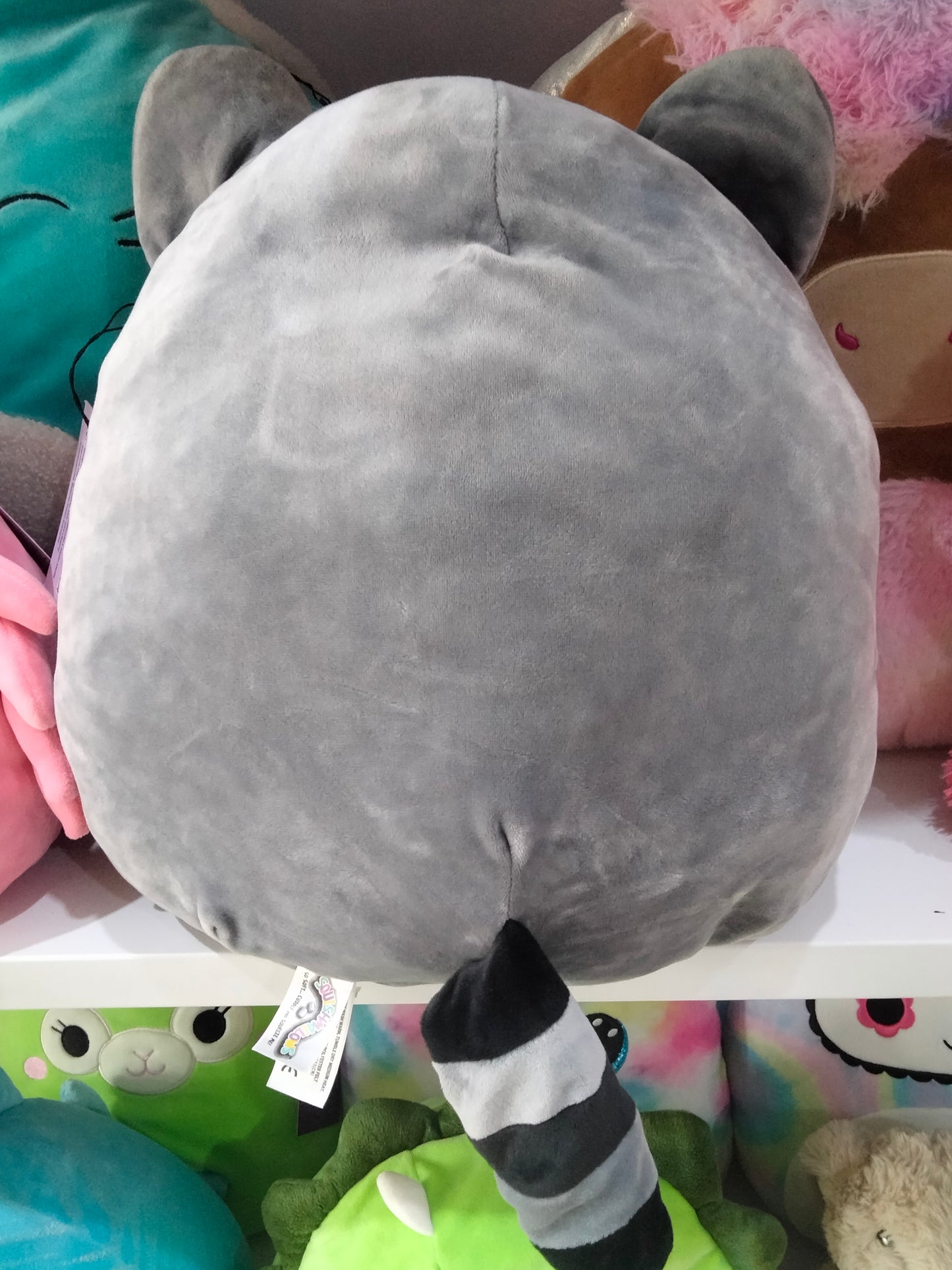 Squishmallows Rocky the Raccoon plush stuffed animal.