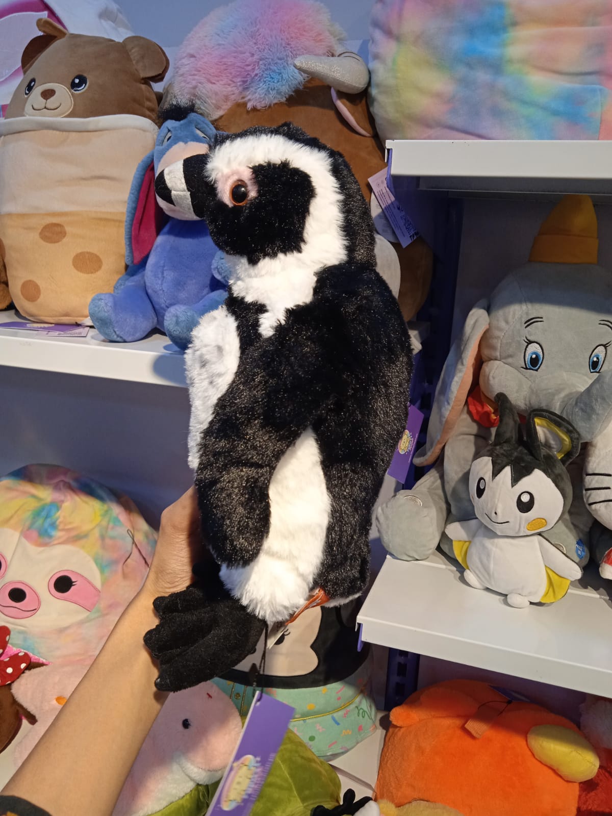 African Black-Footed Penguin Plush Toy.